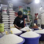 Agen Beras Jual Eceran, Untung Menjanjikan Bagi yang Tertarik Terjun ke Bisnis Pangan
