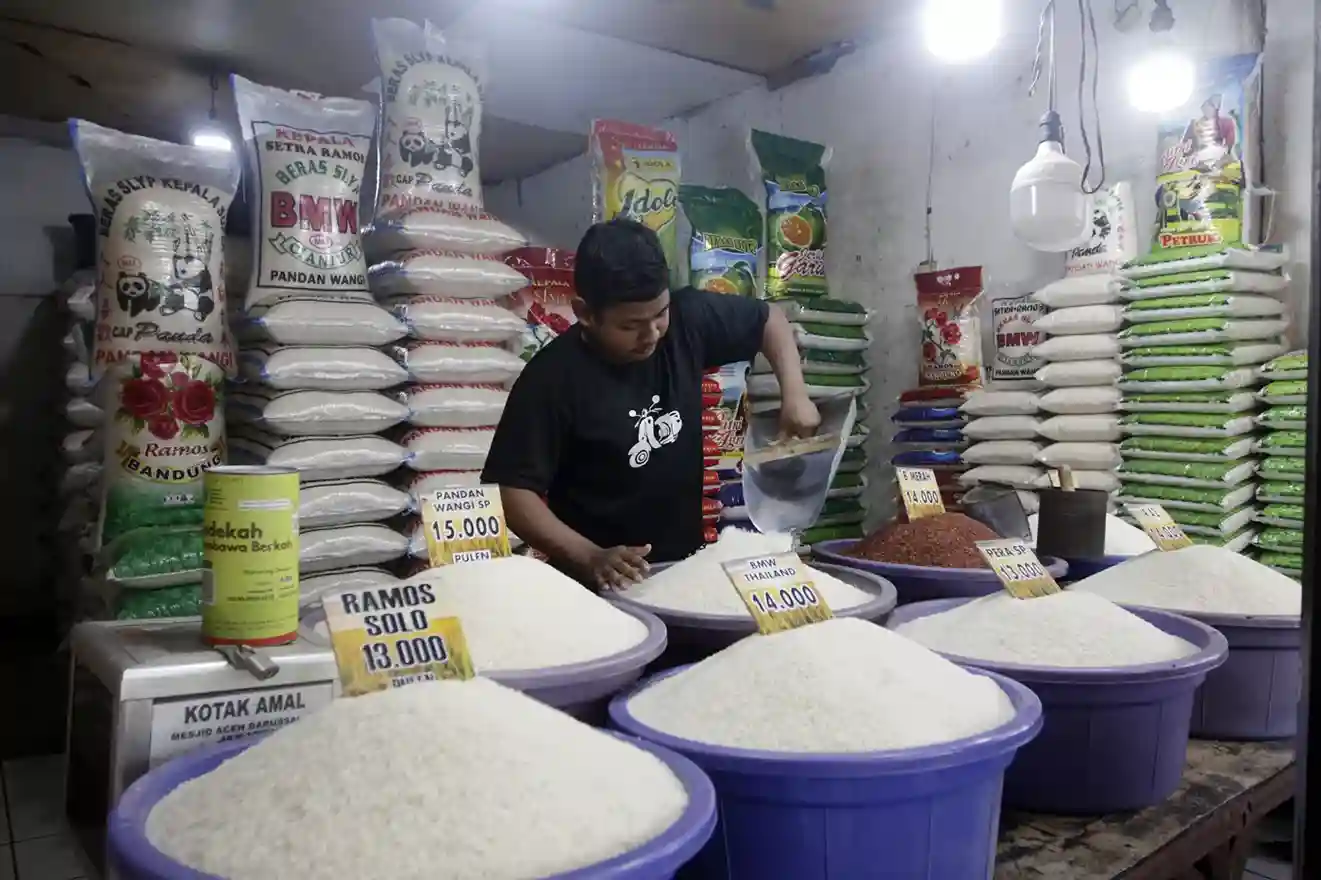 Agen Beras Jual Eceran, Untung Menjanjikan Bagi yang Tertarik Terjun ke Bisnis Pangan