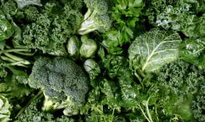 Sayuran Hijau Sayuran Hijau