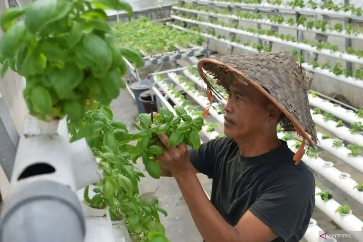 Ide Bisnis