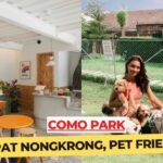 Pet Friendly