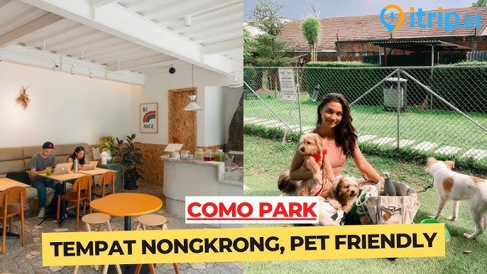 Pet Friendly