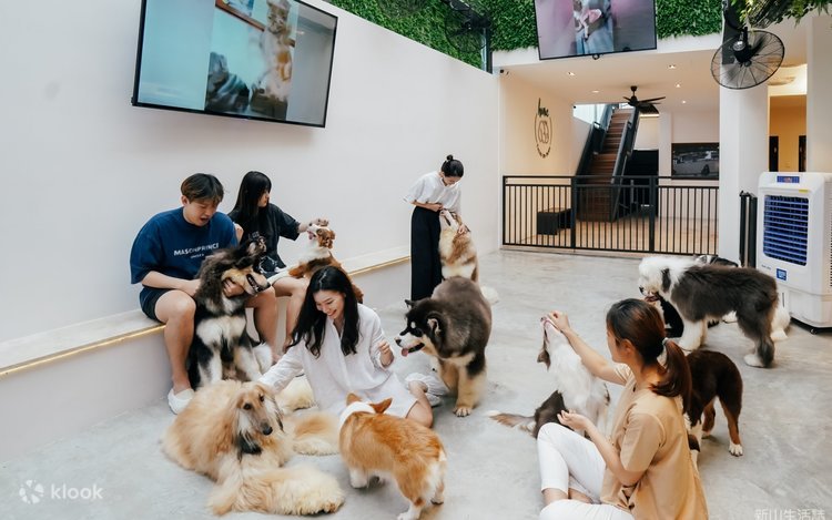 Pet Friendly