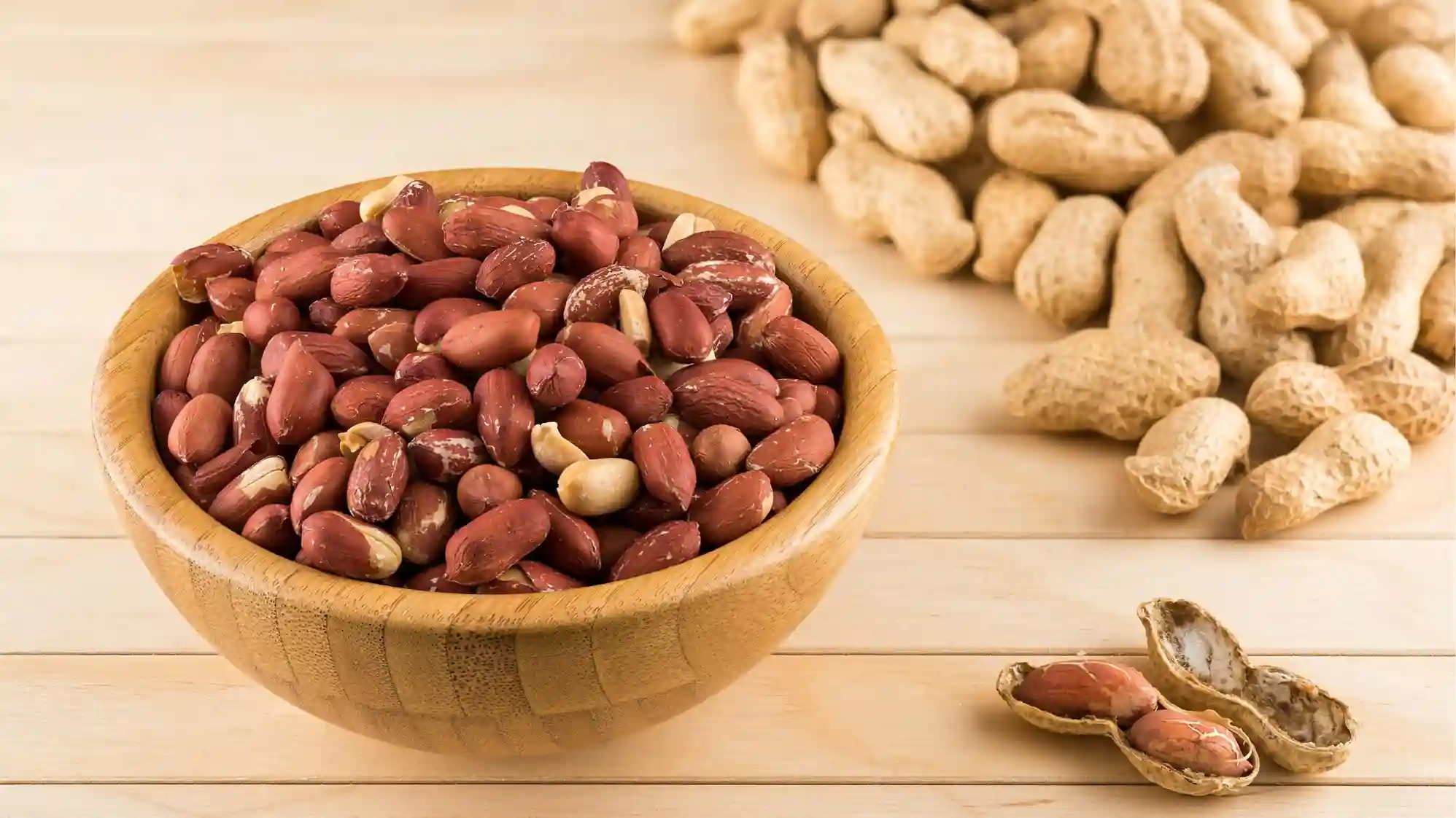 Kacang Kacangan