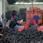 Bisnis Briket, Peluang Arang Padat yang Diam Diam Diburu Pasar Dunia